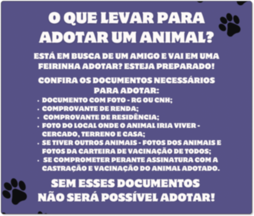 Informações para adoção